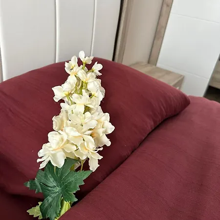 Center Elegant Living Lejlighed Sofia