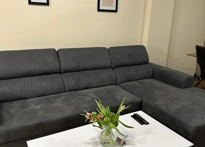 Center Elegant Living * ソフィア